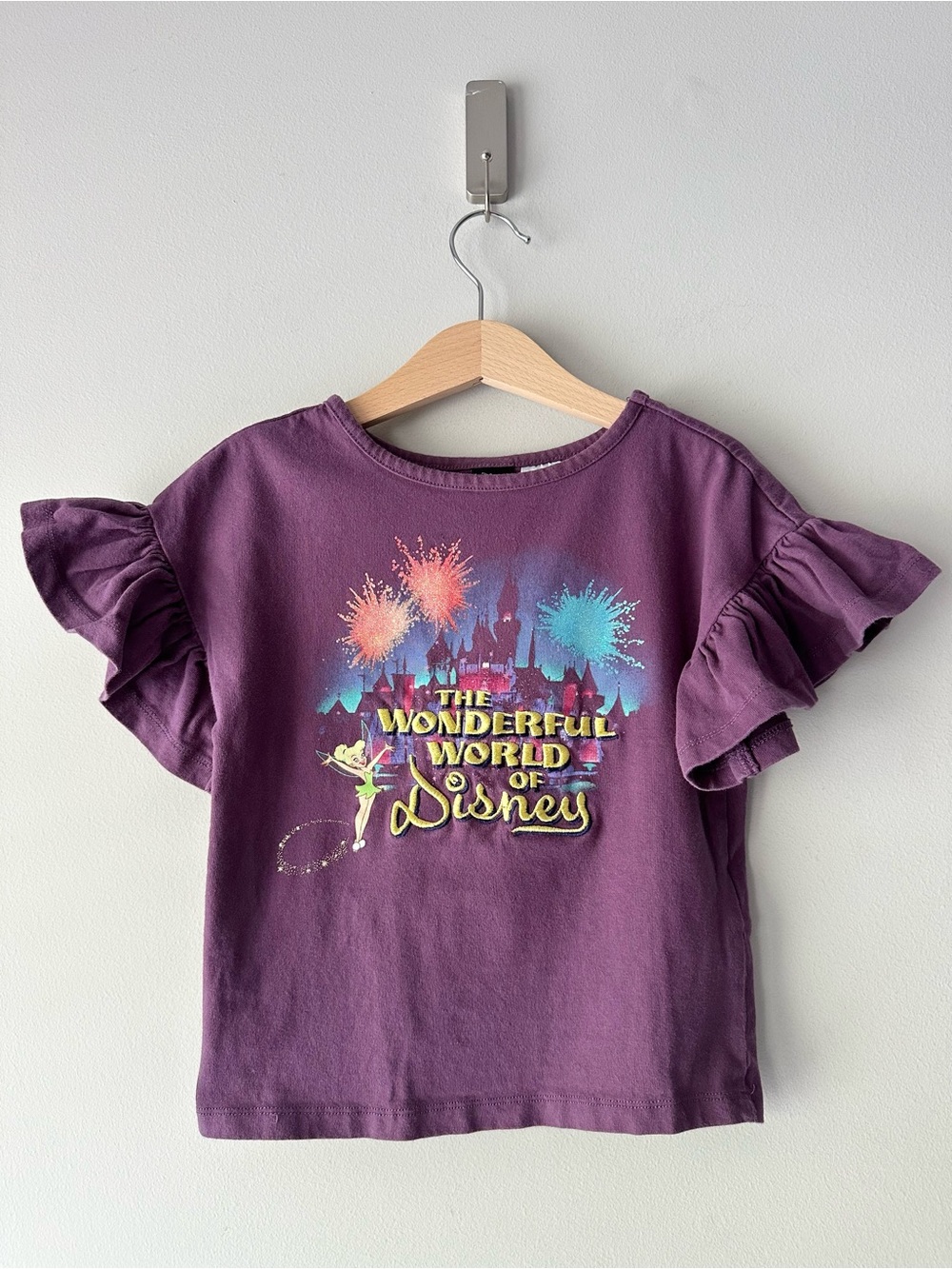 Disney 100 The Wonderful World Of Disney Embroidered T-Shirt